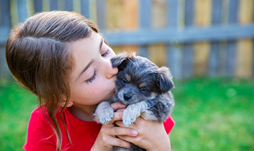 Puppy for a Present? Consider These Factors First