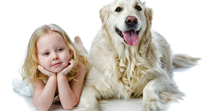 What Your Child Needs To Know About Dogs