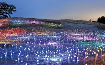 Immersive Light Installation