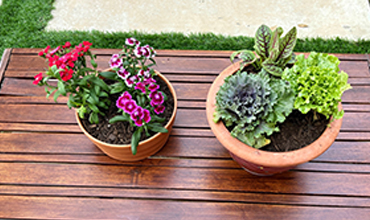 Fall Garden Planting Party